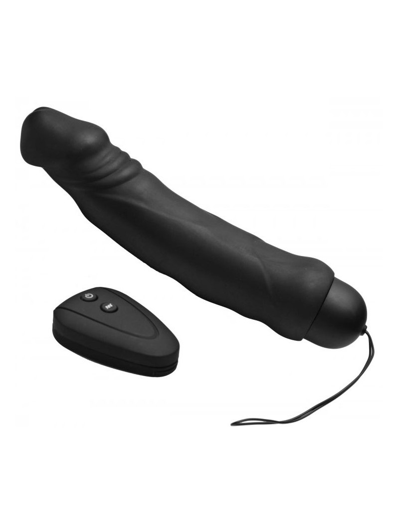 Ten Mode Remote Control Vibrator