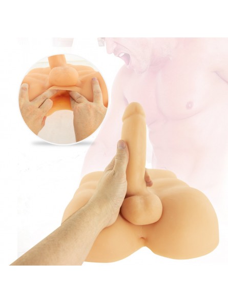 Male Dong Doll Lower Torso with Penis and Anus