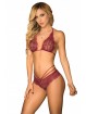 Burgundy Two Piece Bra Lace Set